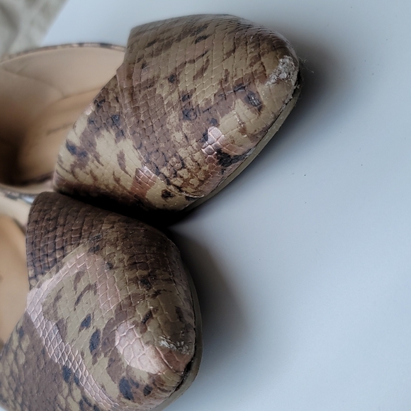 snakeskin - Picture 9 of 12